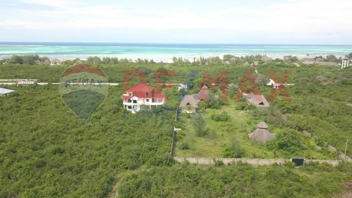 Crim Wind Freedom Hotel Jambiani  Exterior foto
