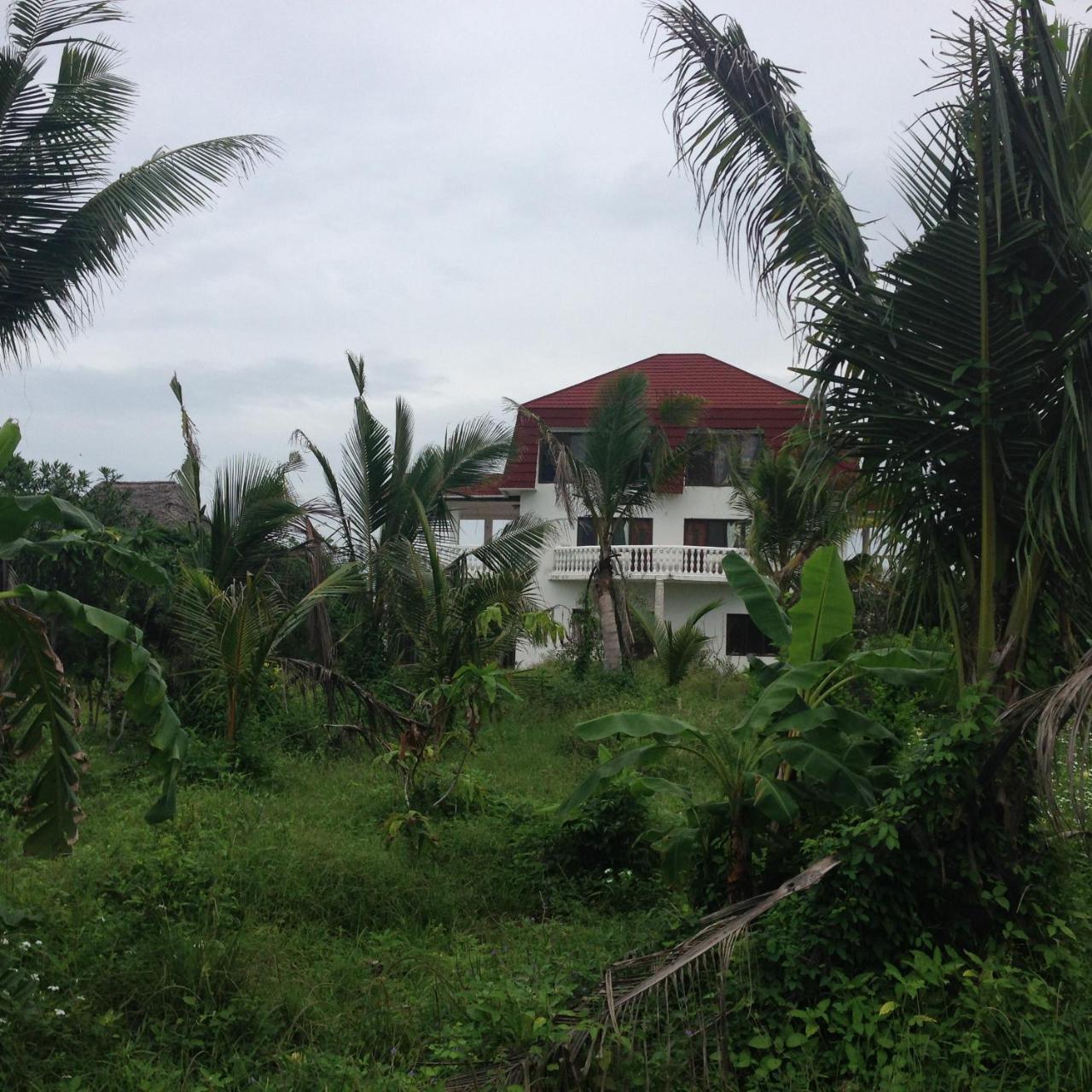 Crim Wind Freedom Hotel Jambiani  Exterior foto